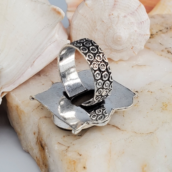 Natural Picasso Fossil Jasper Silver Ring - Picture 4 of 6